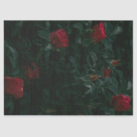 Mousseline Red Roses Tissu Papier Découpage Cadeau (Recto)