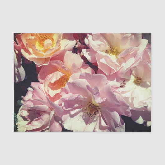 Mousseline Rose d'été, papier de fond (Recto)