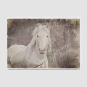 Mousseline Stallion Broadfoot 18 ob. Papier de découpage de t