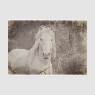 Mousseline Stallion Broadfoot 18 ob. Papier de découpage de t