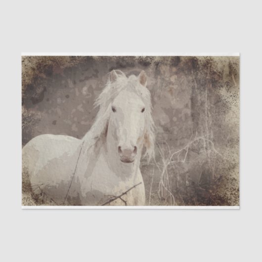 Mousseline Stallion Broadfoot 18 ob. Papier de découpage de t (Recto)