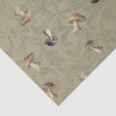 Mousseline Tabourets de Terre Papier Tissu (Détail)