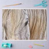 Mousseline tan grange papier tissu de cheval (Artisanat)