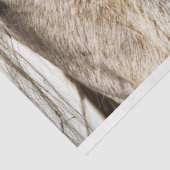 Mousseline tan grange papier tissu de cheval (Détail)