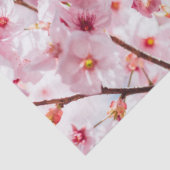 MOUSSELINE TISSU PAPIER : SAKURA : CHERRY BLOSSOMS (Détail)