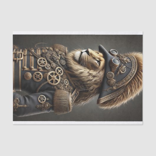 Mousseline Tissue Papier (Recto)