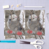 Mousseline Tissus Papier Opossum Nature (Artisanat)