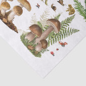 Mousseline Toadstool découpage papier éléments en bois (Détail)