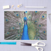 Mousseline TSP - 098 - Pic - Papier de tissus (Artisanat)