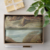 Mousseline Turtle Ernst Haeckel Découpage Papier papier (Cadeau)