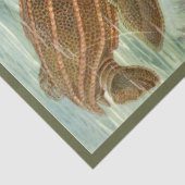 Mousseline Turtle Ernst Haeckel Découpage Papier papier (Détail)