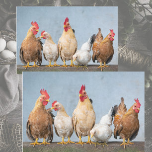 Mousseline Un Portrait Chaotique De Poulet Pt 1 Papier Tissu