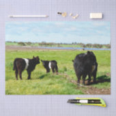 Mousseline Vache Galloway, Papier Tissu (Artisanat)