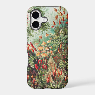 Mousses, Muscinae Laubmoose par Ernst Haeckel