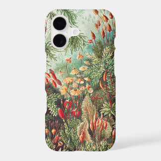 Mousses, Muscinae Laubmoose par Ernst Haeckel