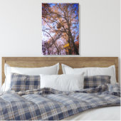 Moustiquaires Nid sur toile (Insitu(Chambre))