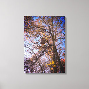 Moustiquaires Nid sur toile