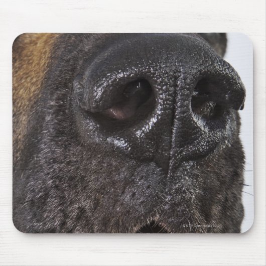 Mouth of Great Dane Muismat (Voorkant)