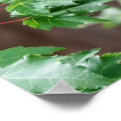 Mouthful Poster (Hoek)