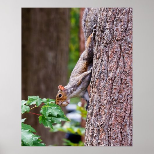 Mouthful Poster (Voorkant)