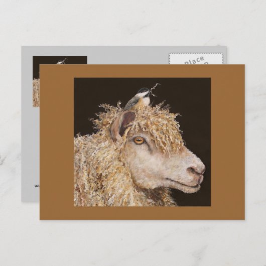 mouton avec carte postale de poulet (Devant / Derrière)