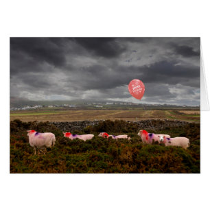 mouton d'anniversaire