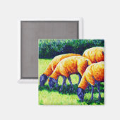Mouton de flamin - Aimant de mouton (Recto/Verso)