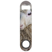 Mouton drôle (Dos)