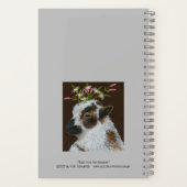 Mouton et agneau avec éléments pré carnet casquett (Verso)