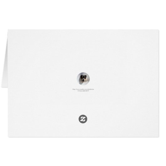 Moutons colorés (Dos Horizontal)