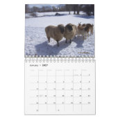 Moutons Dans Le Calendrier Du Ranch (Jan 2027)