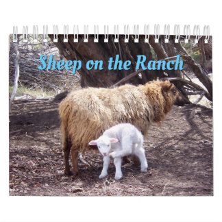 Moutons Dans Le Calendrier Du Ranch