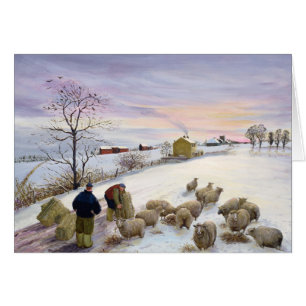 Moutons de alimentation en hiver