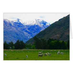 moutons de campagne