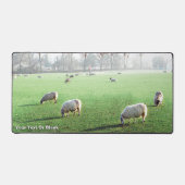 Moutons du palais de Blenheim (Recto)