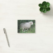 Moutons gourmands mignons mangeant des post-it (Bureau)