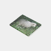 Moutons gourmands mignons mangeant des post-it (Incliné)