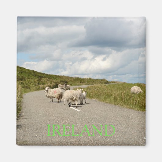 Moutons sur la route en Irlande aimant texte (Devant)