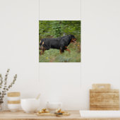 Movin in de tuin poster (Keuken)