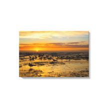 Möwen im Sonnenuntergang