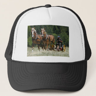 Mowing Hay Trucker Pet