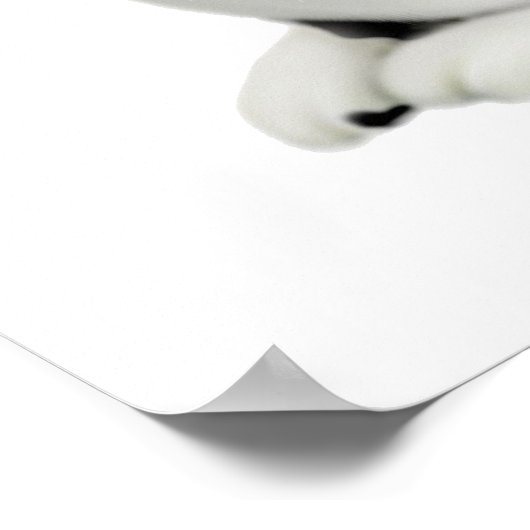 Moxie Cat en Butterflies Print (Hoek)