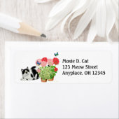 Moxie Chat avec Étiquette de papillons (En situation)