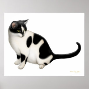 Moxie de Tuxedo Cat Print