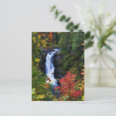 Moxie Falls dans le Maine Carte postale (Debout devant)