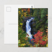 Moxie Falls dans le Maine Carte postale (Devant / Derrière)