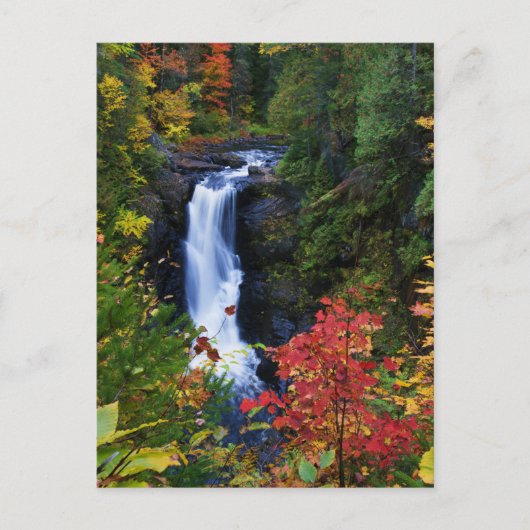 Moxie Falls dans le Maine Carte postale (Devant)