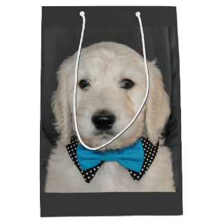 Moyen Chiot de Goldendoodle dans le sac de cadeau de