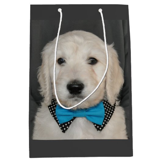 Moyen Chiot de Goldendoodle dans le sac de cadeau de (Devant)