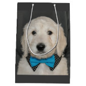 Moyen Chiot de Goldendoodle dans le sac de cadeau de (Dos)